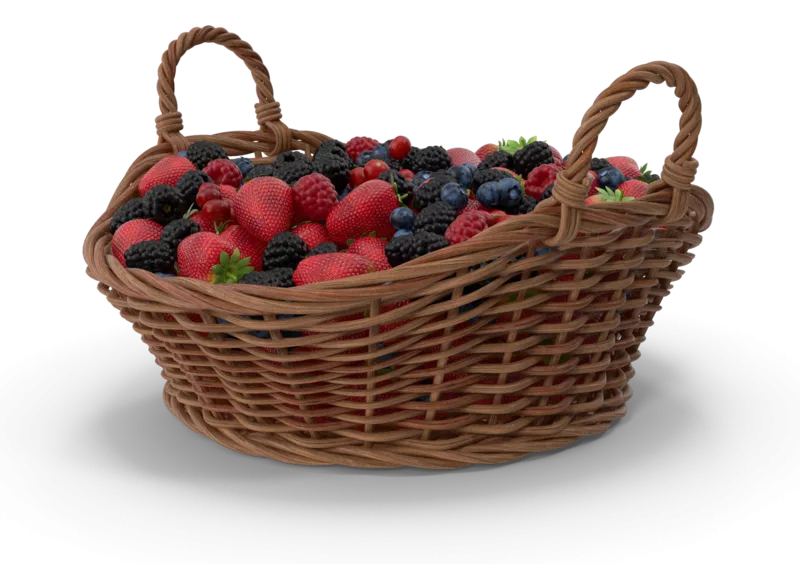 Berries 1