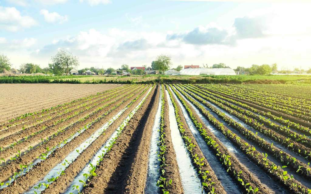 ¿Cómo bajar los costos de riego en la agroindustria?