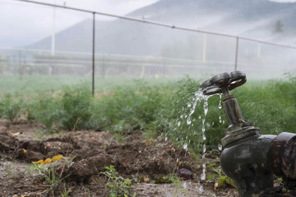 Los beneficios de los sistemas de ósmosis inversa en la siembra de agua